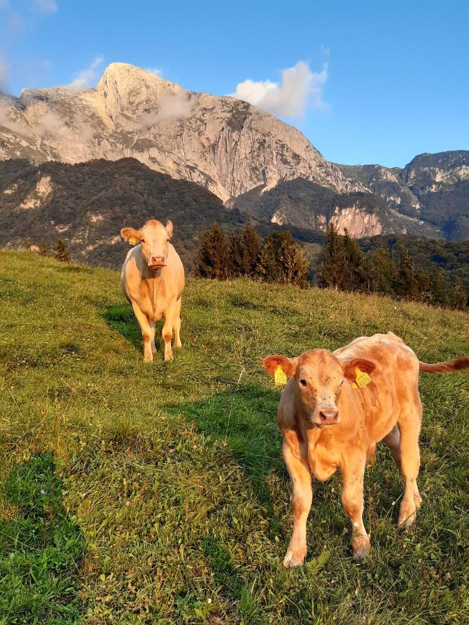 Tourist Farm Zvanc Kobarid Bagian luar foto