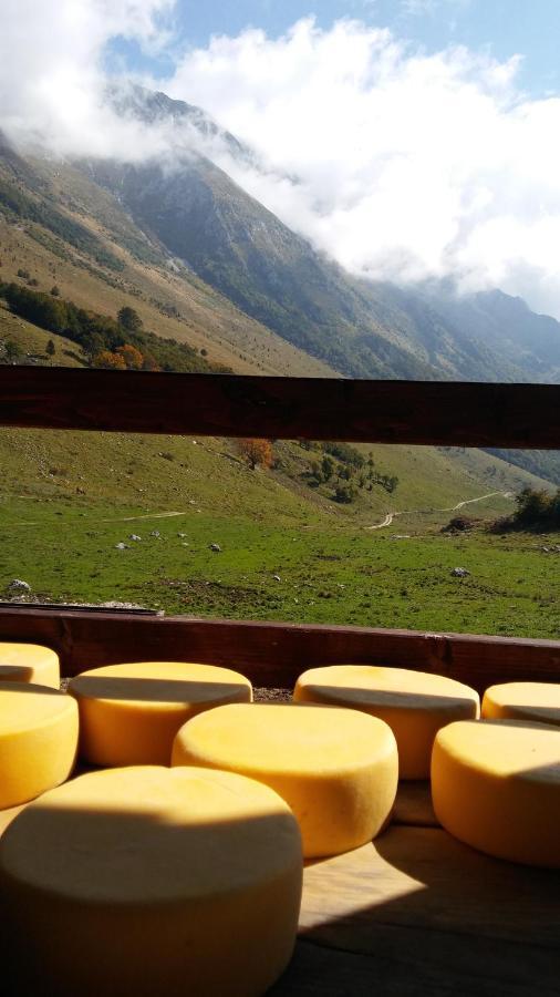 Tourist Farm Zvanc Kobarid Bagian luar foto