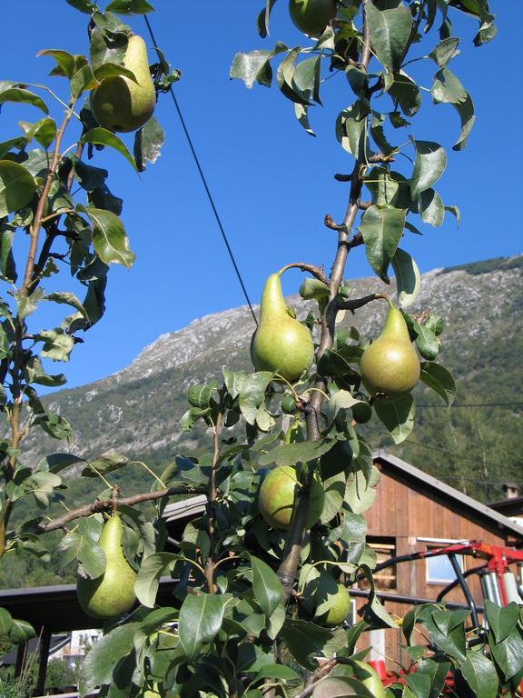 Tourist Farm Zvanc Kobarid Bagian luar foto