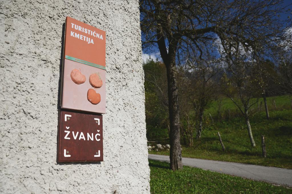 Tourist Farm Zvanc Kobarid Bagian luar foto